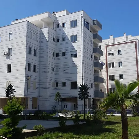 Rruga Qerret Plazh Dielli * Golem (Tirana)